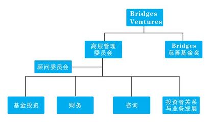 慈善与金融的交汇点 解码Bridges Ventures的使命驱动型投资管理