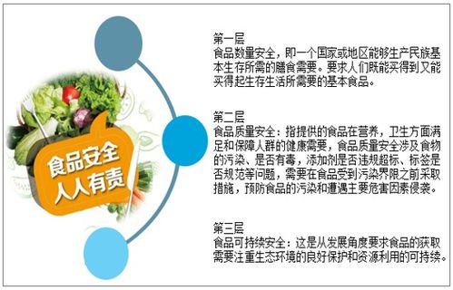 2021-2027年中国食品安全产业发展动态及投资战略规划深度分析报告