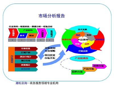 阿里地区社会稳定性风险评估及商业计划书（投资咨询框架）